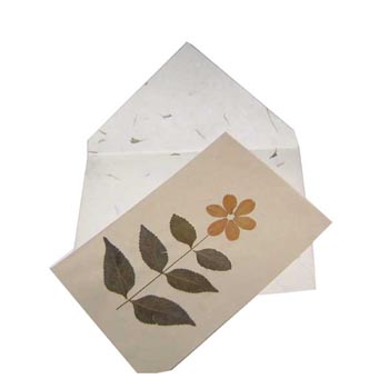white paper envelopes